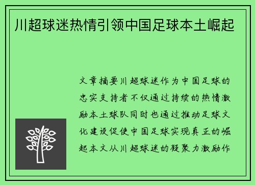 川超球迷热情引领中国足球本土崛起