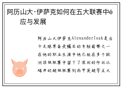 阿历山大·伊萨克如何在五大联赛中适应与发展