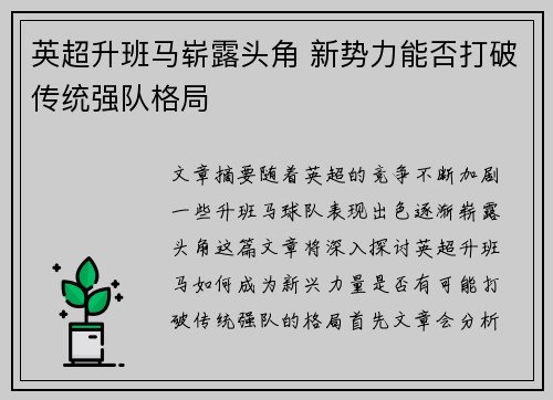 英超升班马崭露头角 新势力能否打破传统强队格局